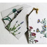 Growing Paper Blue In The Garden Tags 